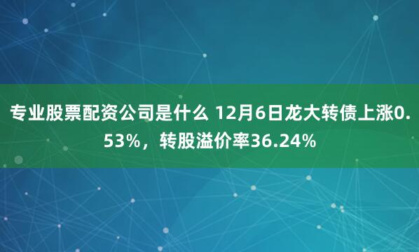 专业股票配资公司是什么 12月6日龙大转债上涨0.53%，转股溢价率36.24%