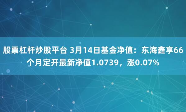 股票杠杆炒股平台 3月14日基金净值：东海鑫享66个月定开最新净值1.0739，涨0.07%