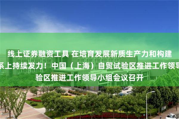 线上证券融资工具 在培育发展新质生产力和构建现代化产业体系上持续发力！中国（上海）自贸试验区推进工作领导小组会议召开