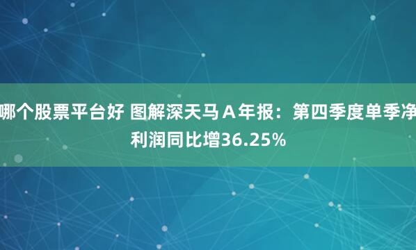 哪个股票平台好 图解深天马Ａ年报：第四季度单季净利润同比增36.25%