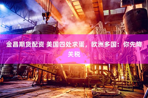 金昌期货配资 美国四处求蛋，欧洲多国：你先降关税