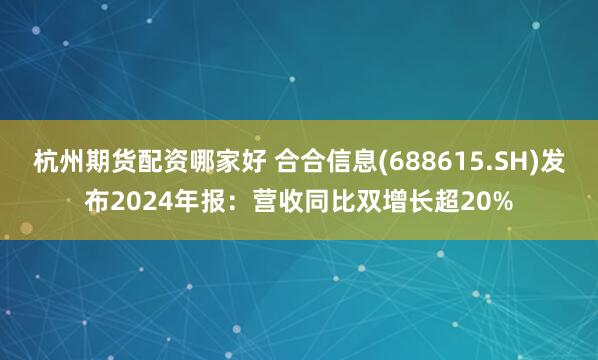 杭州期货配资哪家好 合合信息(688615.SH)发布2024年报：营收同比双增长超20%
