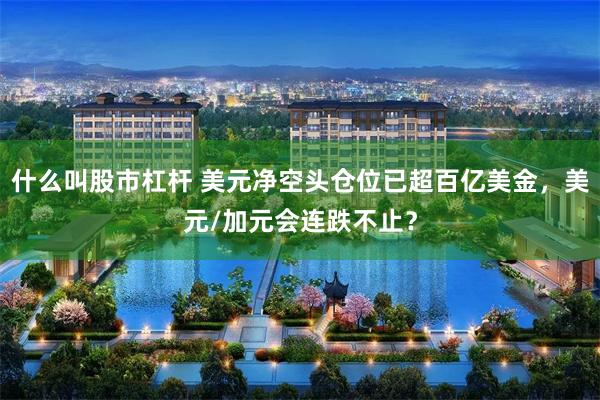 什么叫股市杠杆 美元净空头仓位已超百亿美金，美元/加元会连跌不止？