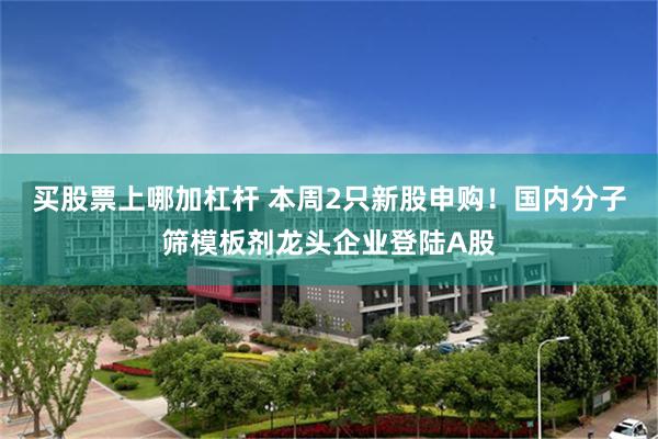买股票上哪加杠杆 本周2只新股申购！国内分子筛模板剂龙头企业登陆A股