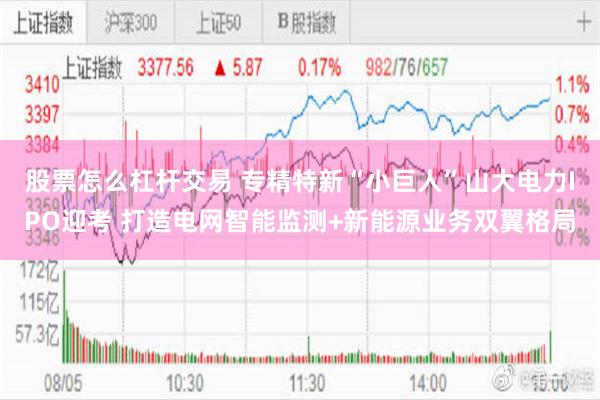 股票怎么杠杆交易 专精特新“小巨人”山大电力IPO迎考 打造电网智能监测+新能源业务双翼格局