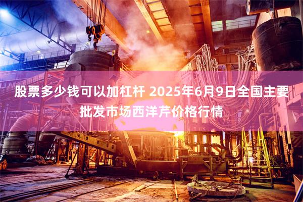 股票多少钱可以加杠杆 2025年6月9日全国主要批发市场西洋芹价格行情